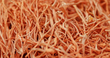 一疊干蟲草合上照片