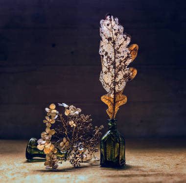 仍然生活與干燥的花和葉子。老式。復古