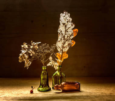 仍然生活与干燥的花和叶子。老式。复古