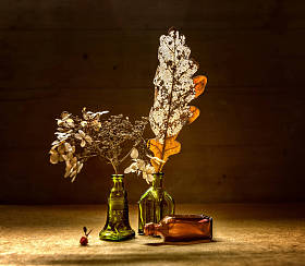 仍然生活与干燥的花和叶子。老式。复古