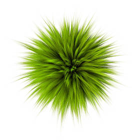 3d. 白色背景下绿色蓬松毛皮球的渲染