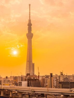 美麗的城市景觀與東京天空樹周圍的建筑和東京城市的建筑在日出時日本
