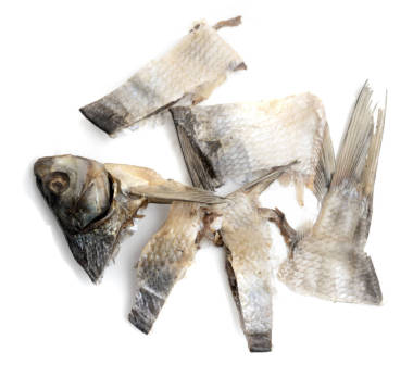 咸魚(yú)在白色背景上