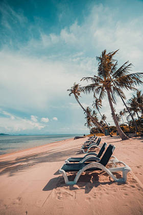 美丽的热带海滩和海与椰子棕榈树和椅子在天堂海岛