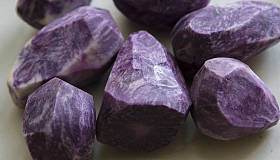 Vitelotte 蓝紫马铃薯的特写