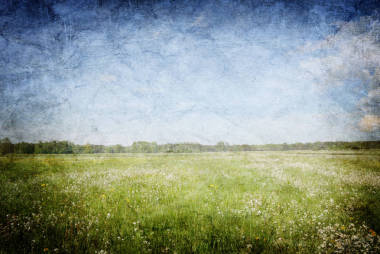 美麗的年份夏季景觀背景圖片