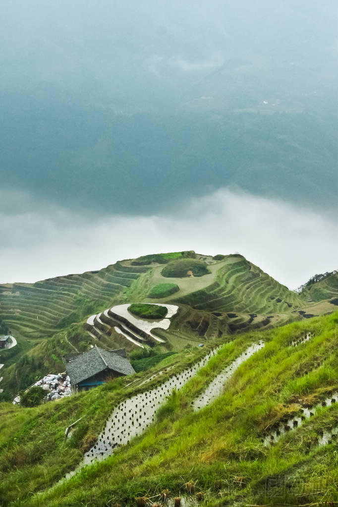 綠色植物, 房子和霧下來。有薄霧的秋天風(fēng)景與米梯田。中國, 陽朔, 龍米梯田