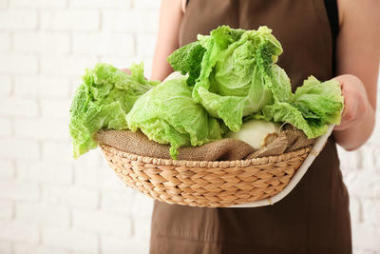 婦女抱著柳條籃新鮮熟白菜, 特寫