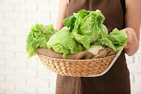 妇女抱着柳条篮新鲜熟白菜, 特写