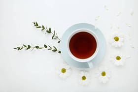 白色背景菊花花杯茶图片
