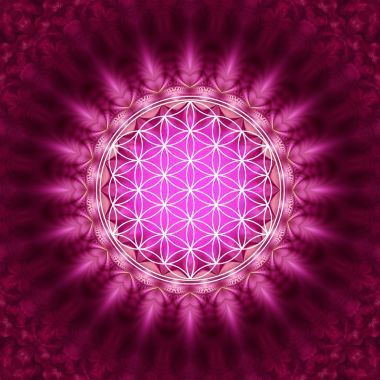 生命-神圣幾何學(xué)之花