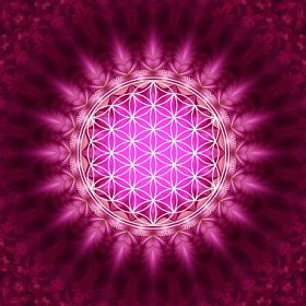 生命-神圣几何学之花