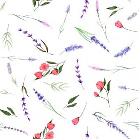 无缝图案, 水彩花卉元素 (草本, 薰衣草, 野花) 的装饰品手绘白色背景