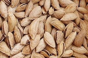 美丽的杏仁为秋天背景照片