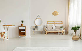 镜子在白色内阁旁边在米色木沙发在客厅内部与植物。真实照片