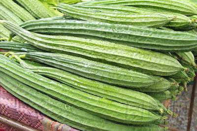 絲瓜 acutangula 在街頭美食烹飪