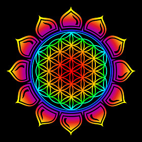 生活-莲花-符号愈合与和谐之花