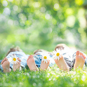 孩子们在绿草地上拿着雏菊花