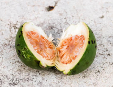 近半邊檳榔鮮檳榔地板圖片