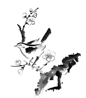 李花花香图片