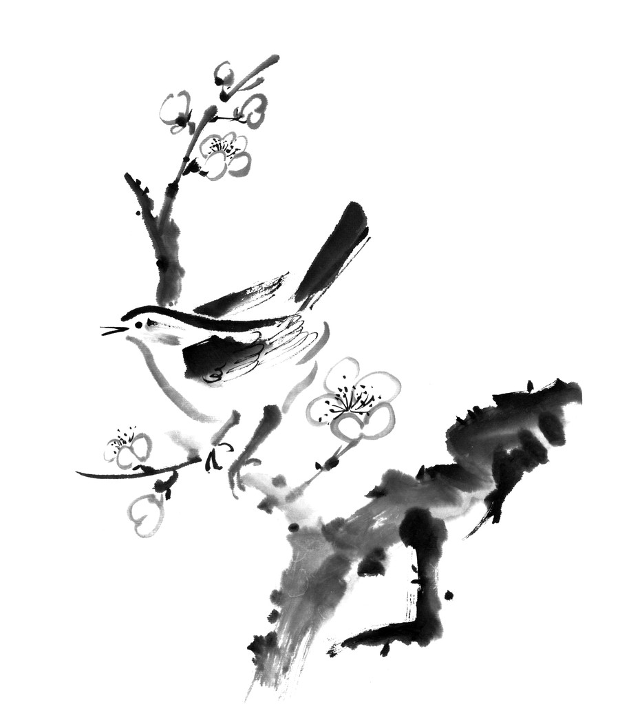 李花花香图片