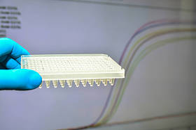 实验室实时 Pcr 研究。放大曲线背景下的96井板