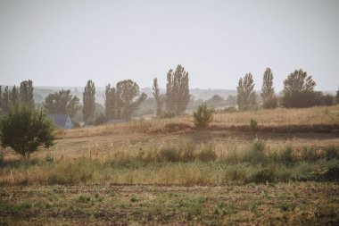 農(nóng)村草地與樹(shù)木的鄉(xiāng)村景