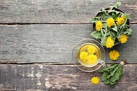 黄蒲公英配杯茶在灰木桌上