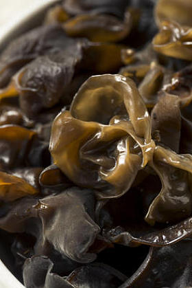 碗中生有机木耳菇图片