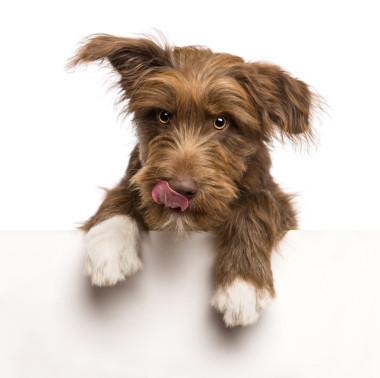 带着睡袍的笑容的少女图片