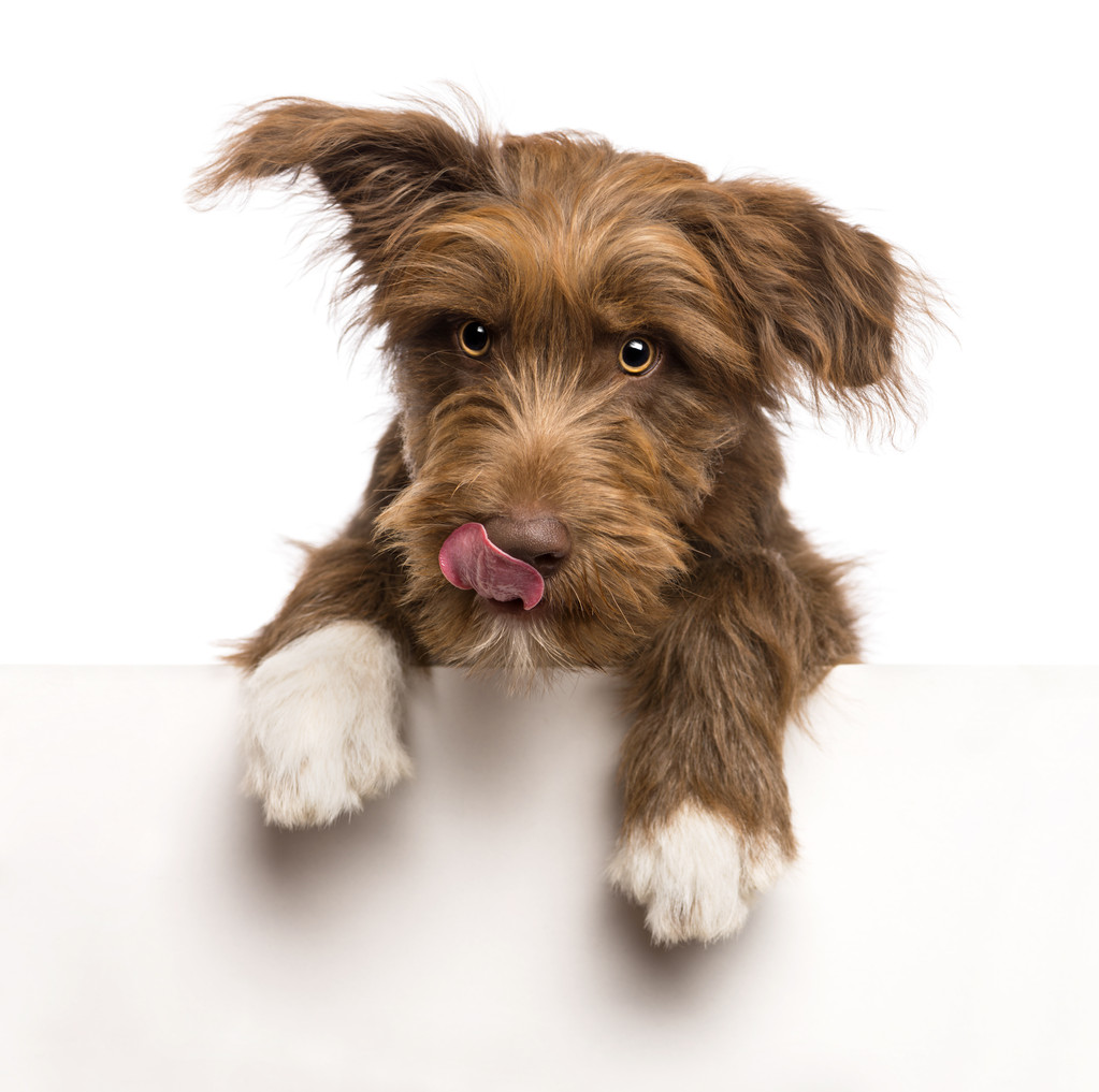 带着睡袍的笑容的少女图片 带着睡袍的笑容的少女图片