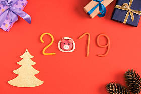 2019年的标志, 松树锥和圣诞礼物红色的最高视图