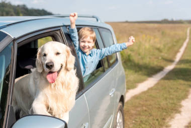 快樂(lè)的小家伙騎著車, 他的金獵犬狗在野外