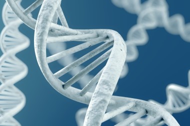 dna 放大倍數(shù)