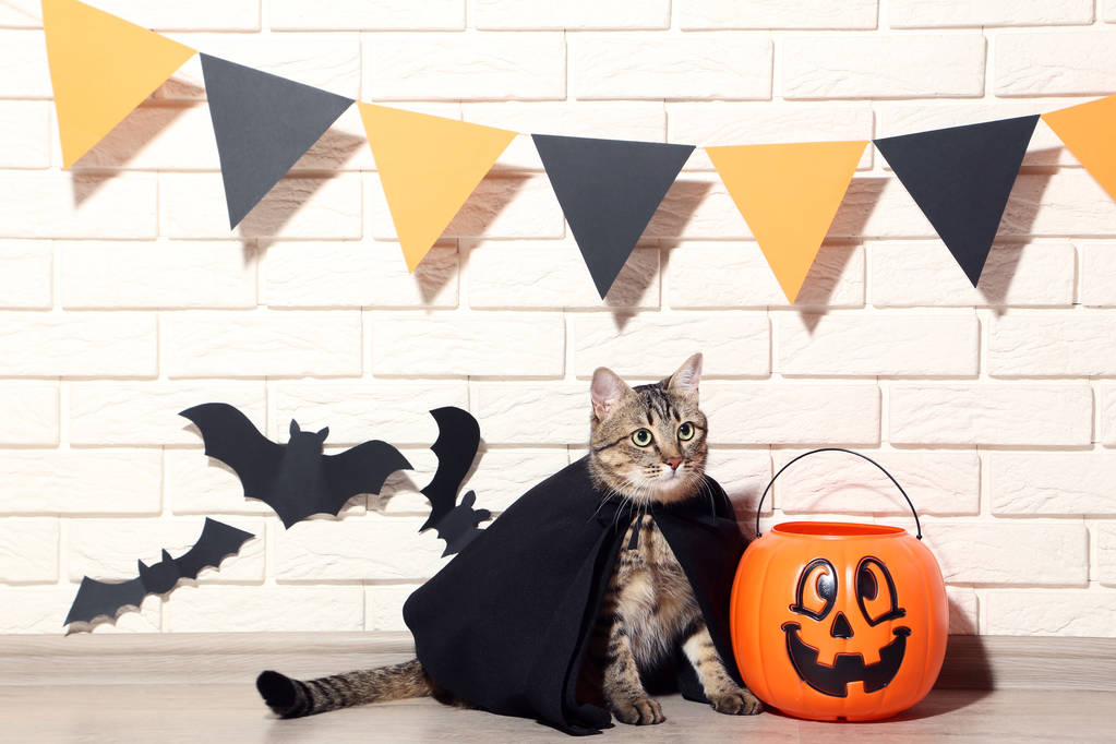 灰与塑料南瓜和黑纸蝙蝠在砖墙背景 灰与塑料南瓜和黑纸蝙蝠在砖墙背景