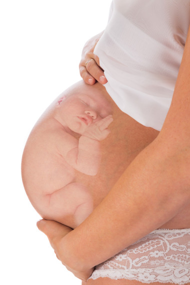 孕婦腹中胎兒圖片