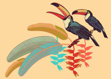 海报与鸟巨嘴鸟, 热带树叶和花朵。向量例证。异国情调的动机。老式。打印在 t恤衫, 夏天的衣服和袋子, 装饰商店窗口的模板