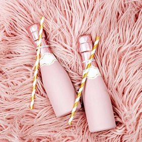 迷你香槟酒瓶与吸管在粉红色的毛皮背景