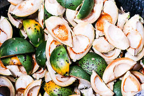 一组槟榔鲜槟榔树木