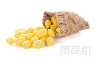 白色背景的銀杏堅果