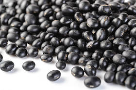 孤立在白色背景上的黑色豆