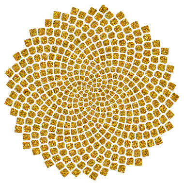 向日葵種子-黃金比例-金色螺旋-斐波那契螺旋