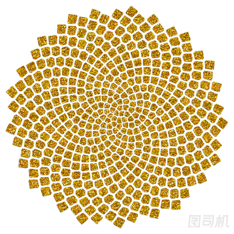 向日葵種子-黃金比例-金色螺旋-斐波那契螺旋
