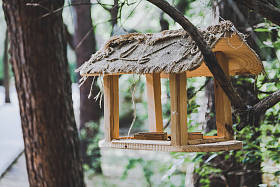 自制的木制鸟饲养者重在树林中的一棵树上的夏天 da