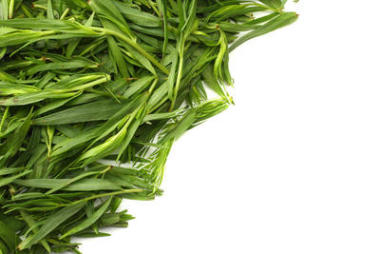 在白色背景查出的龙蒿叶 (蒿龙)