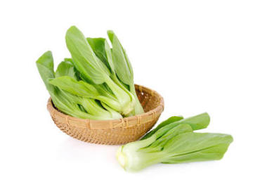 白色背景上的新鮮大白菜