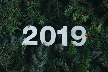 2019年圣誕快樂, 新年快樂背景與常青樹樹枝和白色數(shù)字, 創(chuàng)意布局, 自然平躺概念.