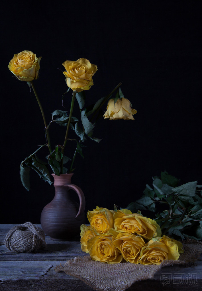 靜物與黃色枯萎的花朵圖片