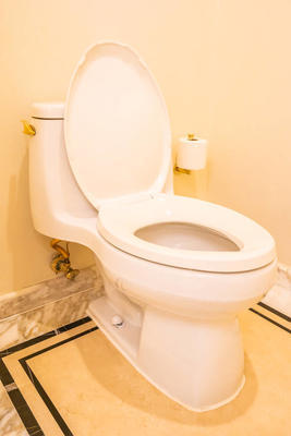 白色马桶座装饰室内照片