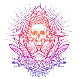 冥想的骨架。人的头骨和手上一朵神圣的莲花。在白色背景查出的时髦的彩色线条画。纹身设计。Eps10 向量例